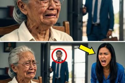 Milyonaryo, Umuwi ng Maaga at Laking Gulat Nang Mahuli sa CCTV at Makita ng Harapan ang Karumal-dumal na Ginagawa ng Asawa sa Kanyang Matandang Ina