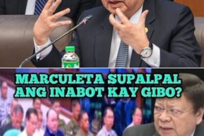 Gulo at Init sa Senado: Bakbakan sa Gitna ng Budget Hearing ng DND, Nagngingitngit ang Publiko sa Sagupaan nina Marcoleta at Sec. Gibo