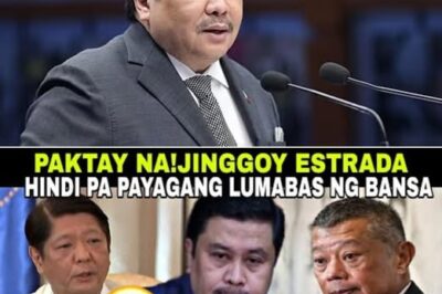 Hindi Pinayagang Mag-Travel? Holiday Trip ni Sen. Jinggoy Estrada, Binabara Habang Papalapit ang Posibleng Warrant of Arrest