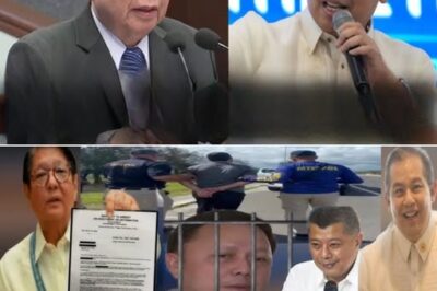 Zaldy Co Nahuli sa Japan: P12-B Ari-arian Ipinablock ni PBBM, Hatol Haharapin Habang Lumalala ang Sitwasyon