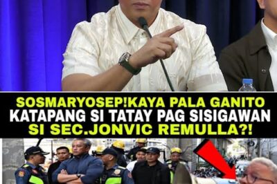 Matandang Raliyista Sinigawan si DILG Sec. Jonvic Remulla—Isang Eksenang Nagpaalab sa Publiko sa Gitna ng November 30 Rally
