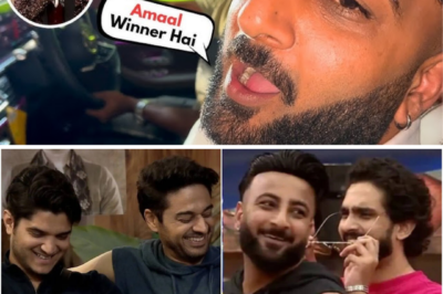 Shehbaz Badesha Reacts After Bigg Boss 19 Finale: Gaurav Khanna Crowned Winner, Amaal Mallik Losesc