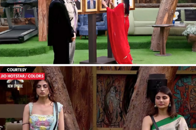 Bigg Boss 19 Drama: Tanya and Amaal Confirmed as Finalists Ahead of the Finale