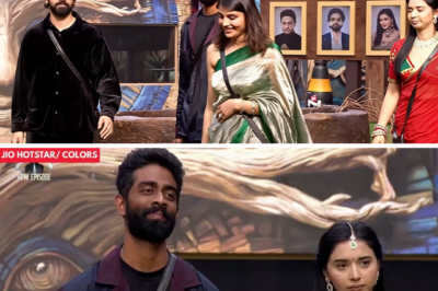 Bigg Boss 19 Shock: Malti Chahar Evicted from the House Before Finale