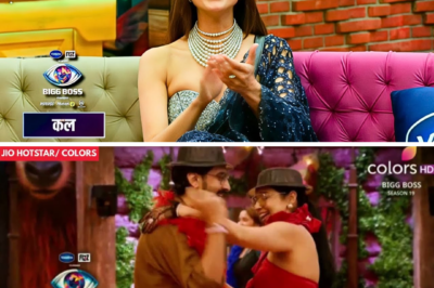 Bigg Boss 19 Exclusive: The Incredible Journey of the Top 5 Finalists