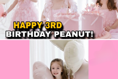 Parang Isang Tunay na Prinsesa: Ang Napakagandang Ikatlong Kaarawan ni Baby Peanut nina Jessy Mendiola at Luis Manzano