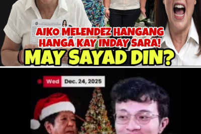 Sa Likod ng Viral na Video: Ang Mainit na Bakbakan at Matinding Reaksyon sa Kwento ni Aiko—Sino Nga Ba ang Tunay na Nawawala sa Sarili?