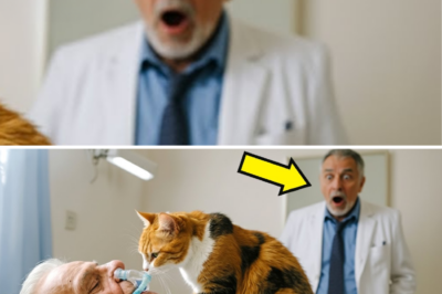 Ang Pusang Kalye sa Silid ng Bilyonaryo: Isang Milagrong Hindi Inaasahan at ang Lihim na Nagpabago sa Lahat