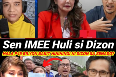 Political Bombshell: Senator Imee Marcos Publicly Exposes Alleged Hidden Motive of Secretary Vince Dizon, Declaring ‘Ito Pala Ang Dahilan’
