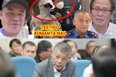 Pagbasag ng Katahimikan: Isinasangkot ni Kalihim Boying Remulla si Heneral Macapaz sa Isang Makasaysayang Pagsulong para sa Kaso ng Nawawalang Sabungero