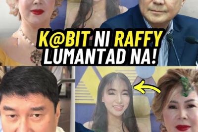 Sumiklab ang Bagyong Pulitika: Ang Katotohanan sa Likod ng Malaswang Panukalang Blind Item na Nagdudulot ng Viral na Kontrobersiya kina Senador Raffy Tulfo at Asawang si Jocelyn