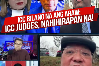 Bilang Na Ang Araw Ng ICC: Mga Judge Ng International Criminal Court Aminadong Nahihirapan Na At Hindi Na Alam Ang Gagawin Sa Gitna Ng Sunod-Sunod Na Resbak At Kakulangan Ng Suporta