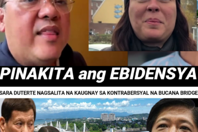 Ang Tulay ng Pagtatalo: Binasag ni VP Sara Duterte ang Katahimikan Tungkol sa Tulay ng Bucana Habang Nag-aaway ang mga Netizens Tungkol sa “Pamana” na Kredito sa Pagitan ng Administrasyong Marcos at Duterte