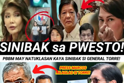 Isang Kumand ang Gumuho: Ang Tunay na Kwento sa Likod ng Biglaang Pagtanggal ng PBBM kay Heneral Hansel Torre at ang Tensyon na Sumiksik sa Pambansang Pulisya