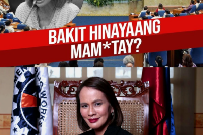 Pagbasag ng Katahimikan: Mga Pangunahing Saksi sa mga Huling Sandali ni Usec Cabral, Nagsagawa ng Maliwanag na Patotoo sa Tunay na Sanhi ng Pagkamatay