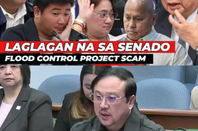 Ang Pagtutuos sa Senado: Ang “Mga File ni Cabral” at ang P721-B Flood Control Scandal ay Naging Sentro ng Pananaw sa Malawakang Pagdinig sa Blue Ribbon