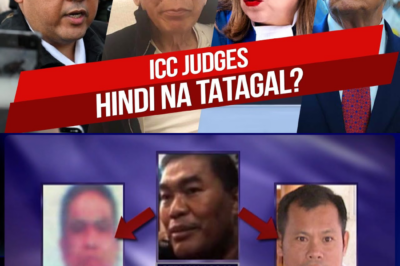 Isang Korte na Kinubkob: Nahaharap ang ICC sa Ganap na Pagbagsak Habang ang mga Parusa ni Trump at ang mga Sentensiya ni Putin sa Pagkabilanggo ay Nagtutulak sa Pandaigdigang Katarungan sa Bingit
