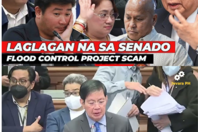 Ang Paghuhubad ng Maskara: Mastermind sa Likod ng Malakihang Anomalya, Hindi Inasahang Nalantad sa Gitna ng Mainit na Senate Hearing