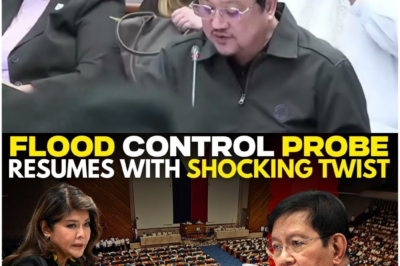 Mga Maleta ng Pera at mga Ghost Dike: Ang VIP na Saksi na Bumasag sa Katahimikan Tungkol sa Multibilyong Panloloko sa Pagkontrol ng Baha sa Pilipinas