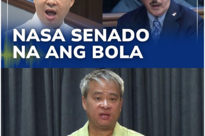 Isang Senado na Naguguluhan: Ang Napipintong Botohan sa Pagtanggal kay Joel Villanueva at ang “Lihim na Desisyon” na Yumanig sa Ombudsman