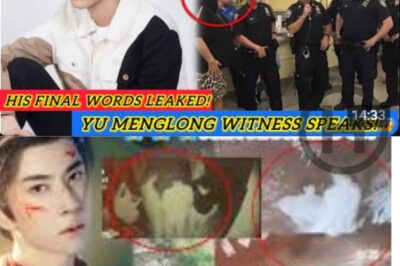 UPDATE: Secret Witness Reveals Yu Menglong’s Final Words — And They Rewrite Everything (NH)