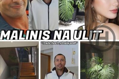 Derek Ramsay Teases Ellen Adarna as He Cleans the House After Her Exit: A Lighthearted Celebrity Saga (NH)
