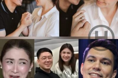 Did Carla Abellana Publicly Dismiss Tom Rodriguez’s Engagement Message? Unpacking the Claims (NH)