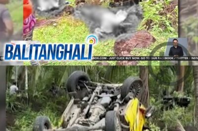 MULTICAB PLUNGES INTO RAVINE IN AYUNGON — 8 D3@D, 45 INJURED IN MOUNTAIN CRASH (NH)