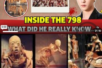 YU MENGLONG’S FINAL LIVESTREAM BEFORE HIS PASSING: WHAT REALLY HAPPENED AT THE 798 ART MUSEUM? (NH)