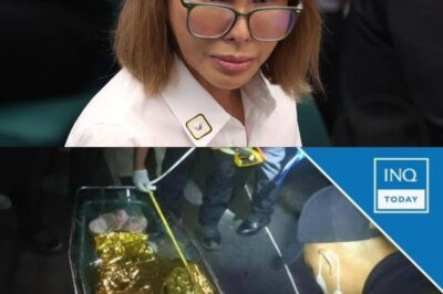 Lapses Cited in Initial Probe Into Ex‑DPWH Undersecretary Catalina Cabral’s D34TH: Nation Questions What Really Happened (NH)