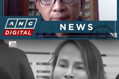 Foul Play? Tinio Calls for Thorough Probe into Ex‑DPWH Undersecretary Catalina Cabral’s D34TH (NH)