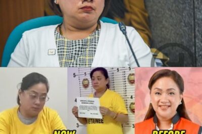 “FLOOD OF FRAUD”: How Contractor Sarah Discaya Went from Multi‑Billion Contracts to Prison in the P96.5M “Ghost” Infrastructure Scandal (NH)
