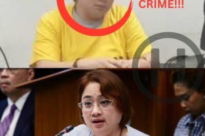 “From Luxury to Lockup: Sarah Discaya’s P96.5M Ghost Project Scandal Rocks the Philippines” (NH)