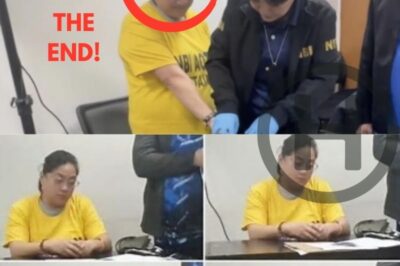 Public Funds Vanish: Sarah Discaya Linked to P96.5M Phantom Infrastructure Scam (NH)