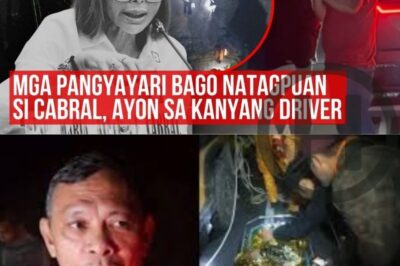 “Before the Discovery”: Driver Breaks Silence on Final Moments Before Cabral Was Found — A Chilling Timeline Unfolds (NH)