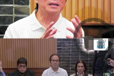 Missing Sabungeros: Cases Filed vs Atong Ang and 21 Others (NH)