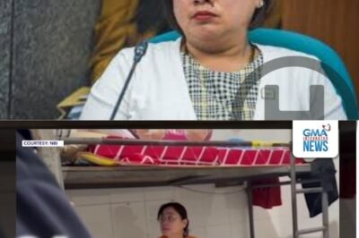 Sarah Discaya, Sinilbihan ng Arrest Warrant Kaugnay ng Maanomalyang Flood Control Project (NH)