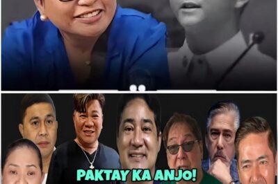 Matinding Banat ng TVJ Kay Anjo: Ano ang Totoong Nangyari sa Viral na “Ganti” Kay Tikboy?