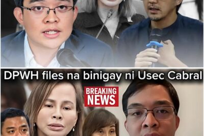 Cong Leviste Nagbunyag ng Pangalan sa DPWH Files na Ibinigay ni Usec Cabral