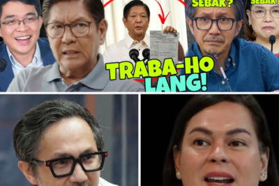 Muling Paglitaw na Nagulat ang Lahat: Ang Totoong Kwento sa Likod ng Pagbabalik ni Leviste sa Mata ng Publiko
