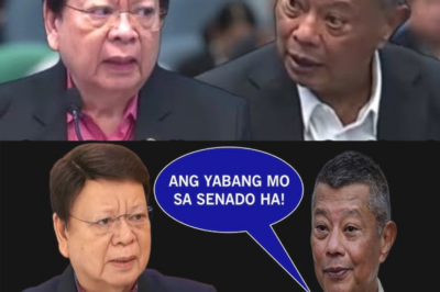 PAKITA MO NGAYON ANG TAPANG SA OMBUDSMAN!—AT ANG PAGBAGSAK NG TENSYON SA SENADO NANG MAGHARAP ANG DALAWANG MALALAKING PANGALAN