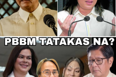 VP SARA UUPONG PRESIDENTE SA 2026? “PAGLILINIS” NG GOBYERNO, MGA BULUNG-BULUNG NA KASUNDUAN AT ANG MALAKING TANONG SA HINAHARAP NG PILIPINAS