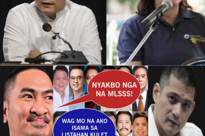 ROBIN, HUWAG KA MUNANG TUMAKBO SA 2028?” — ISANG DESISYONG YUMANIG SA DAMDAMIN NG BAYAN  Isang pangungusap lang ang kumalat, ngunit sapat para magpainit ng talakayan sa buong bansa: “Kung hindi ka muna tatakbo sa 2028…