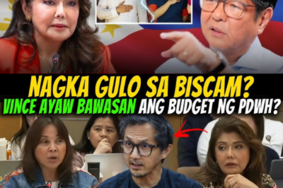 SUMABOG ANG ISYU! “VINCE” UMANO’Y MAY GALAW SA DPWH—IMEE MARCOS NAGBITIW NG MGA TANONG NA YANIG ANG PUBLIKO!