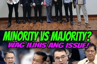 NAKU PO! MAJORITY MINAMALIIT ANG MINORITY? CHIZ VS WIN? PINKY VS ALAN? SINO ANG PROPONENTS!