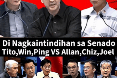 DEBATE NG MAGAGALING NA SENADOR NASAKSIHAN! DAANG BILYON HALAGA NA AMENDMENTS, KINILATIS ULIT