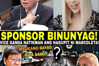 Mainit na Bakbakan: Marcoleta, Ibinulgar ang Umano’y ‘Sponsor’ ni Vice Ganda sa Gitna ng Tumitinding Hidwaan