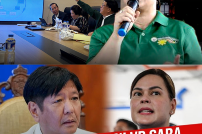 Mga File ng “FLOOD-GATE”, Lumabas Nang Hatinggabi — Isang Detalyeng Hindi Inaasahan ang Yumanig sa Konseho ng Estado! Sino ang ‘Hindi Pinangalanang Tao’ na May Bakas sa Lihim na Proyekto?