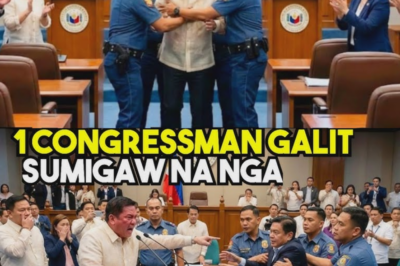 NAKU PO! ISANG KINATAWAN NG BAYAN SUMABOG SA GALIT — AT ANG PAGBUBUNYAG NG BILYONG PISO NA MGA PROYEKTO NA KAILANMAN AY HINDI NAKITA NG PUBLIKO