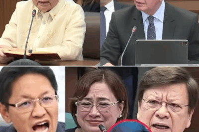 Senate Hearing Nagulantang: Testigo Naglabas ng Video nina Marcoleta at Sarah Discaya, Relasyon Umano Nabisto Habang Umiinit ang Pagtatalo sa DOJ